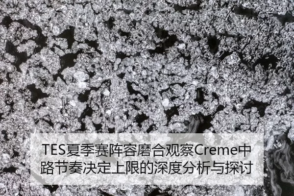 xia-ji-sai-zhen-rong-mo-he-guan-cha-zhong-lu-jie-zou-jue-ding-shang-xian-de-shen-du-fen-xi-yu-tan-tao-2-262.jpg